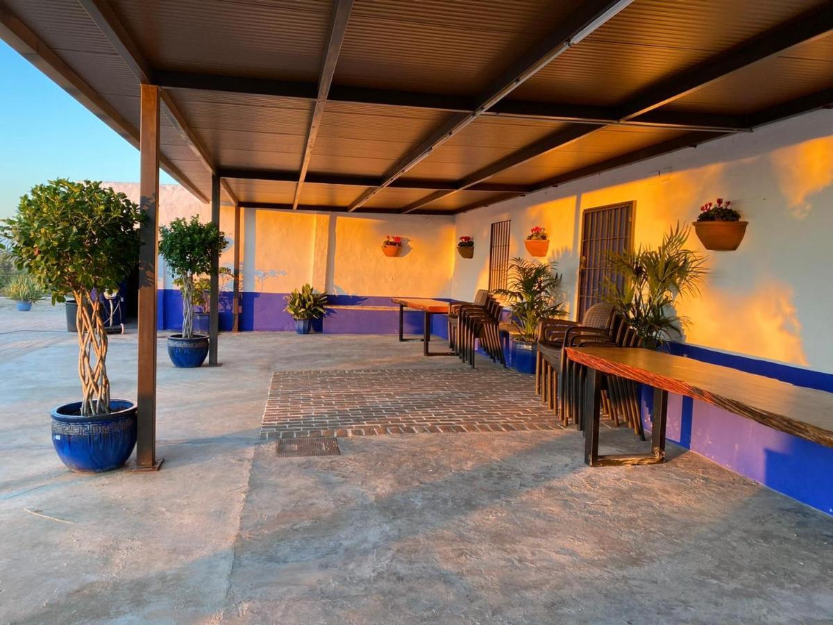埃希哈La Casa Del Olivo别墅 外观 照片